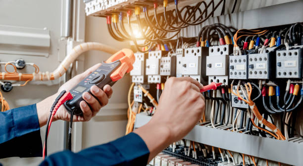 Best Electric Panel Repair  in Princevle, IL
